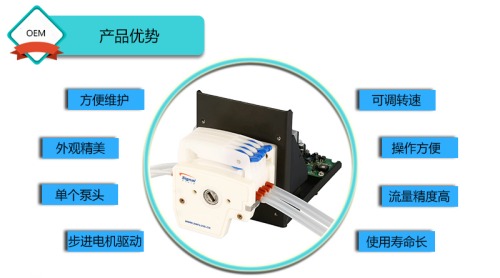 S100-2B+DG精密蠕动泵